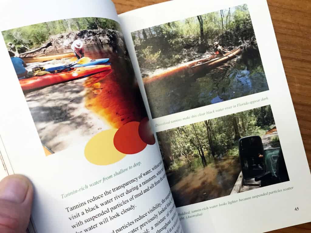 sample pages of What Color is Water?